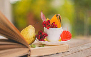 Book fruit coffee outdoor autumn - a book free wallpaper
