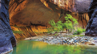 River canyon forest rocks cliff - a canyon next free wallpaper