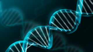 Blue white double stranded human - double free wallpaper