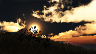 Sunset clouds sun tree field 2 - cloud and a sun in the distance free wallpaper