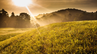 Grassy field trees sunshine cloudy - sunbeam free wallpaper
