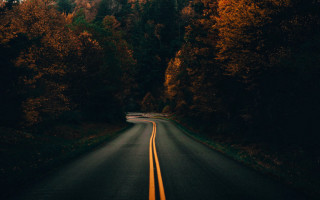 Forest road mountains night starry - a yellow line free wallpaper