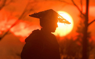 Person hat sunset trees blurry - the background free wallpaper for desktop