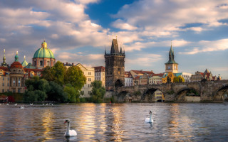 River swans bridge castle cloudy - a bridge in the background free wallpaper