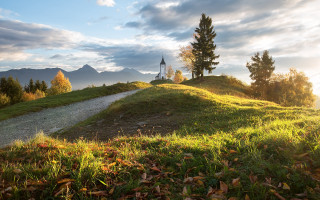 Grassy hill church path forest - a forest in the background free wallpaper