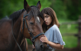 Woman horse field portrait romanticism - the horse free wallpaper