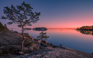 Tree rock water sunset pink - antonín chittussi free wallpaper