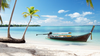 Docked boat beach palm sky - palm tree free wallpaper