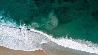 Beach wave surfboard people vibrant - the water and a person free wallpaper