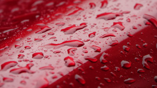 Red umbrella water drops blood - a red umbrella free wallpaper