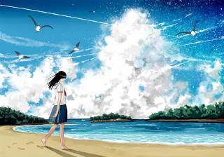 Girl walking beach birds flying - overhead free wallpaper