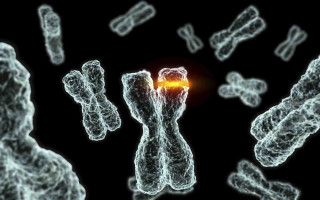 Human hand glowing object black - biopunk free wallpaper