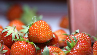 Strawberries milk blurry background macro - a close up of a bunch free wallpaper