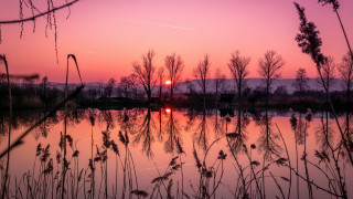 Sunset lake trees grass plane - tall grass and trees free wallpaper