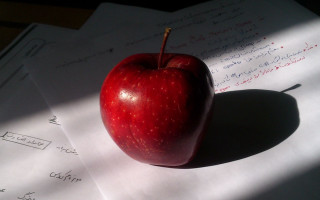 Red apple paper hand shadow - subsurface free wallpaper