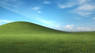 Grassy hill yellow flowers blue - a grassy hill free wallpaper