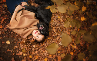 Woman dog autumn leaves blackhair - her back free wallpaper
