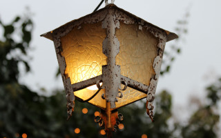 Hanging light tree rembrandt arts - a pole free wallpaper