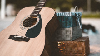 Guitar basket luggage dog park - cinematic composition free wallpaper
