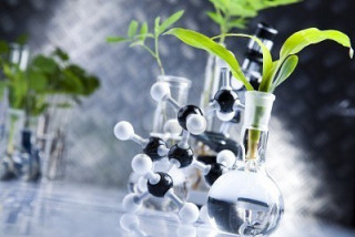 Glass vases plants water rocks - environmental art free wallpaper for desktop