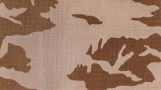 Camouflage dog bird matte abstract - matte painting free wallpaper for desktop