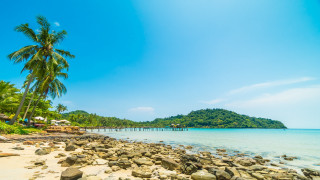 Beach pier palm trees mountain - panoramic view free wallpaper