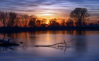 Sunset lake tree branch clouds 3 - a sunset over a lake free wallpaper