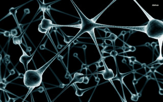 Network spheres lines black background - constant permeke free wallpaper