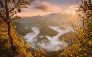 Mountain range clouds autumn leaves - the foreground and a sunset in the background free wallpaper