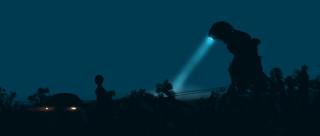 Person flashlight dark trees night - their hand in free wallpaper