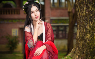 Red dress woman tree background - a tree trunk free wallpaper