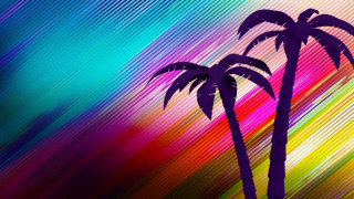 Palm trees multicolored stripe pattern - diagonal free wallpaper