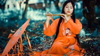 Orange dress flute forest bokeh - the wood free wallpaper