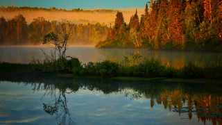 Lake fog reflection autumn impessionist - beautiful landscape free wallpaper