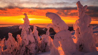 Sunset snowy mountain trees clouds - a sunset over a snowy mountain free wallpaper