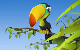 Colorful bird on branch with - blender free wallpaper