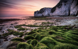 Beach moss cliff ocean sunset - arthur quartley free wallpaper for desktop