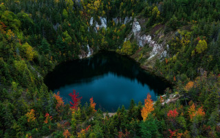 Blue lake forest autumn leaves - the middle of the forest free wallpaper