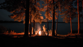 Tent lake forest autumn leaves - a tent free wallpaper