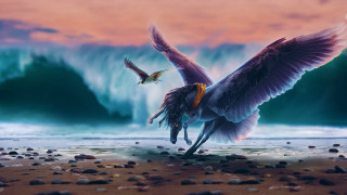 Flying bird over beach waves - over a beach free wallpaper