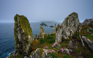 Rocky cliff water flowers nature - the rock free wallpaper