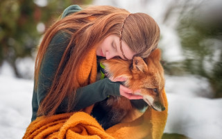 Woman dog snow blanket christmas - a small dog free wallpaper