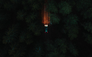 Train forest night light cinematic - the train free wallpaper