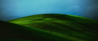 Lone bird grassy hill blue - a grassy hill free wallpaper