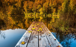 Wooden dock leaves lake autumn - a wooden dock free wallpaper