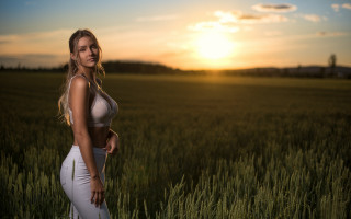 Sunset field blonde woman portrait - sunset free wallpaper