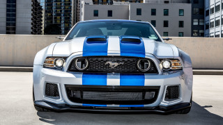 Mustang blue white stripes parking - detailed face free wallpaper