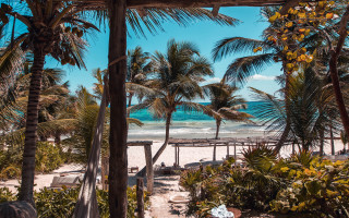 Beach palm trees pier blue 2 - a blue sky and ocean in the background free wallpaper