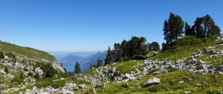 Mountain lake forest field sky - a lake in the distance free wallpaper