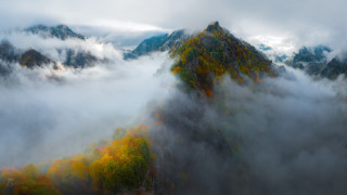 Mountain fog clouds trees misty - andrey ryabovichev free wallpaper